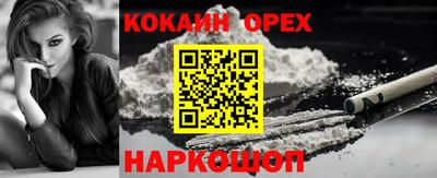 спиды Кандалакша