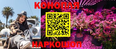 эйфоретик Камышлов