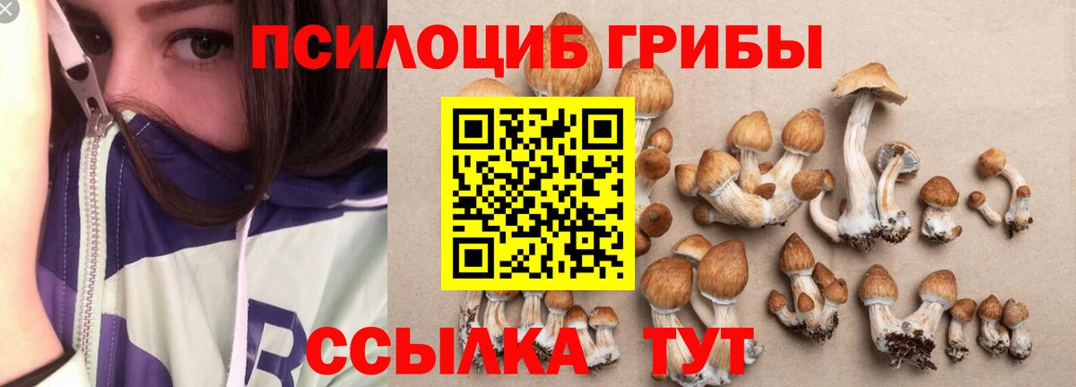 Галлюциногенные грибы ЛСД Кувандык